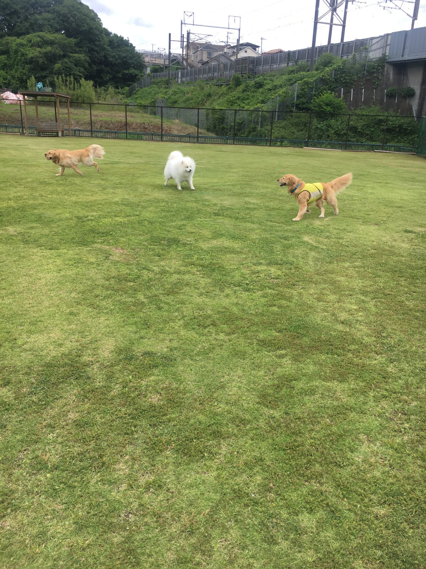 ファイル 8586-3.jpeg