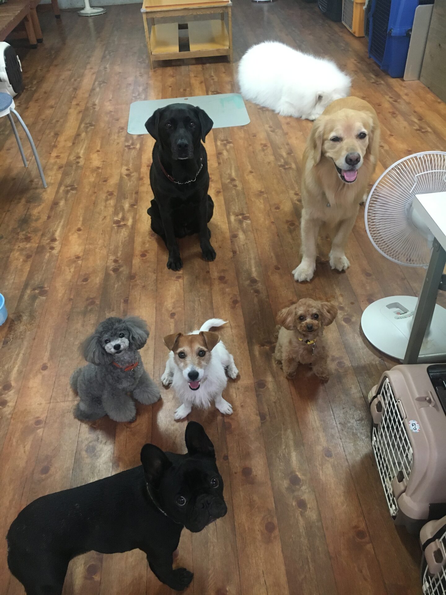 ファイル 8586-5.jpeg