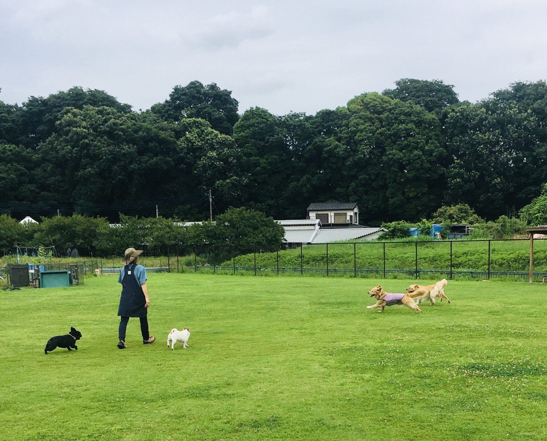 ファイル 8587-2.jpeg