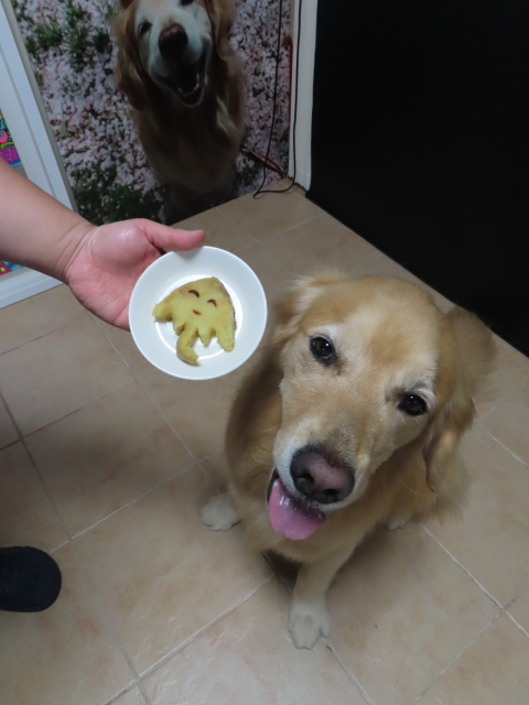 ファイル 8588-5.jpg