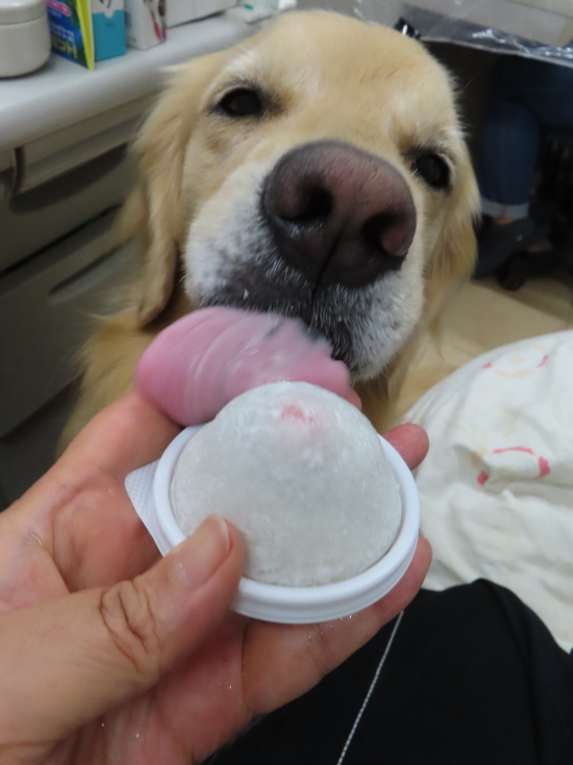 ファイル 8590-5.jpg