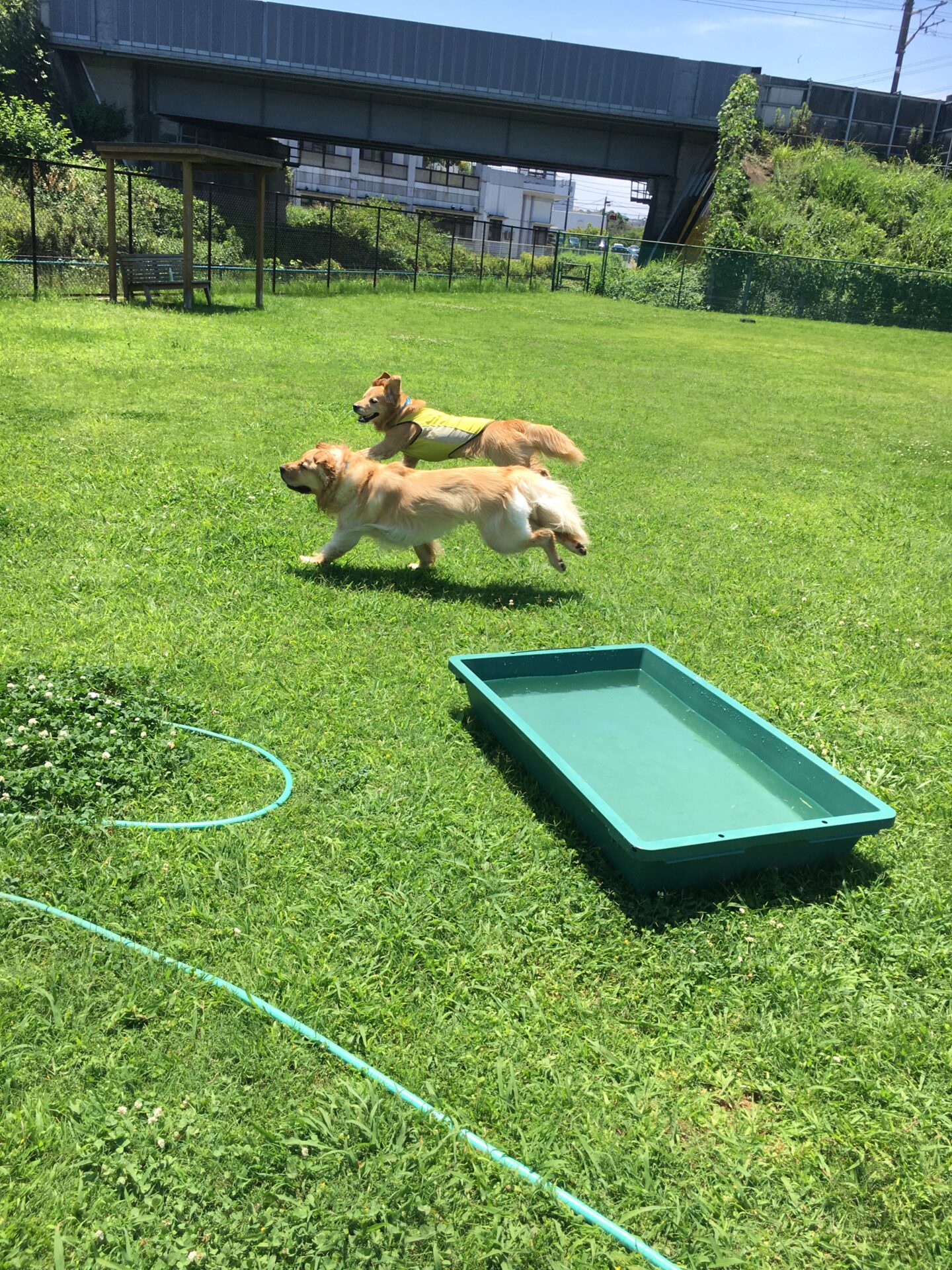 ファイル 8591-1.jpeg