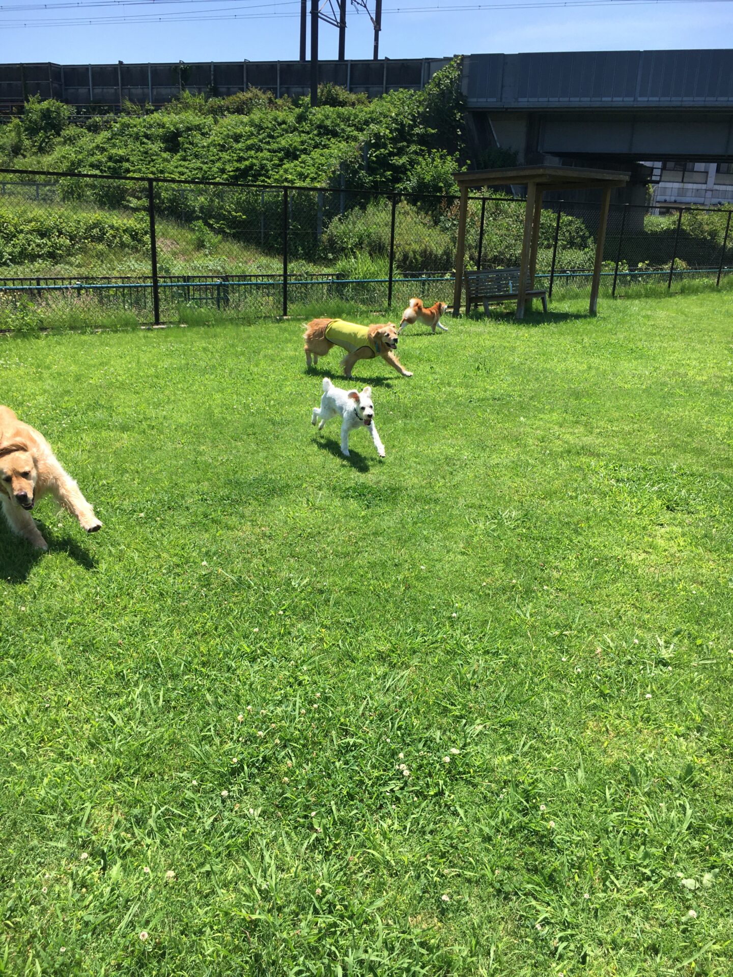 ファイル 8591-2.jpeg