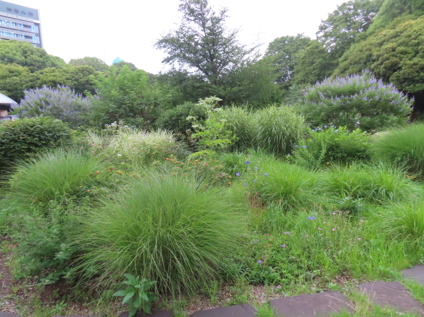 ファイル 8592-4.jpg