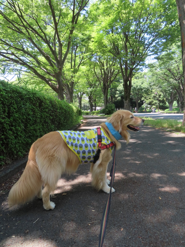 ファイル 8594-3.jpg