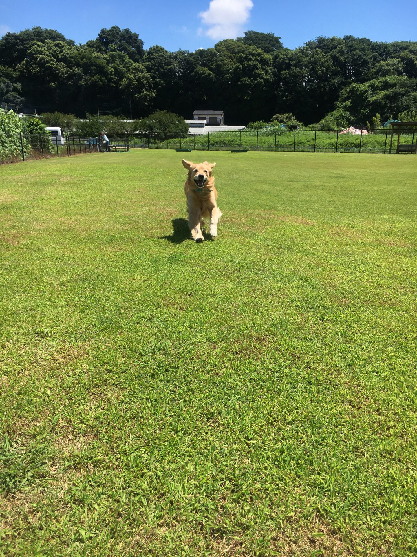 ファイル 8595-2.jpeg