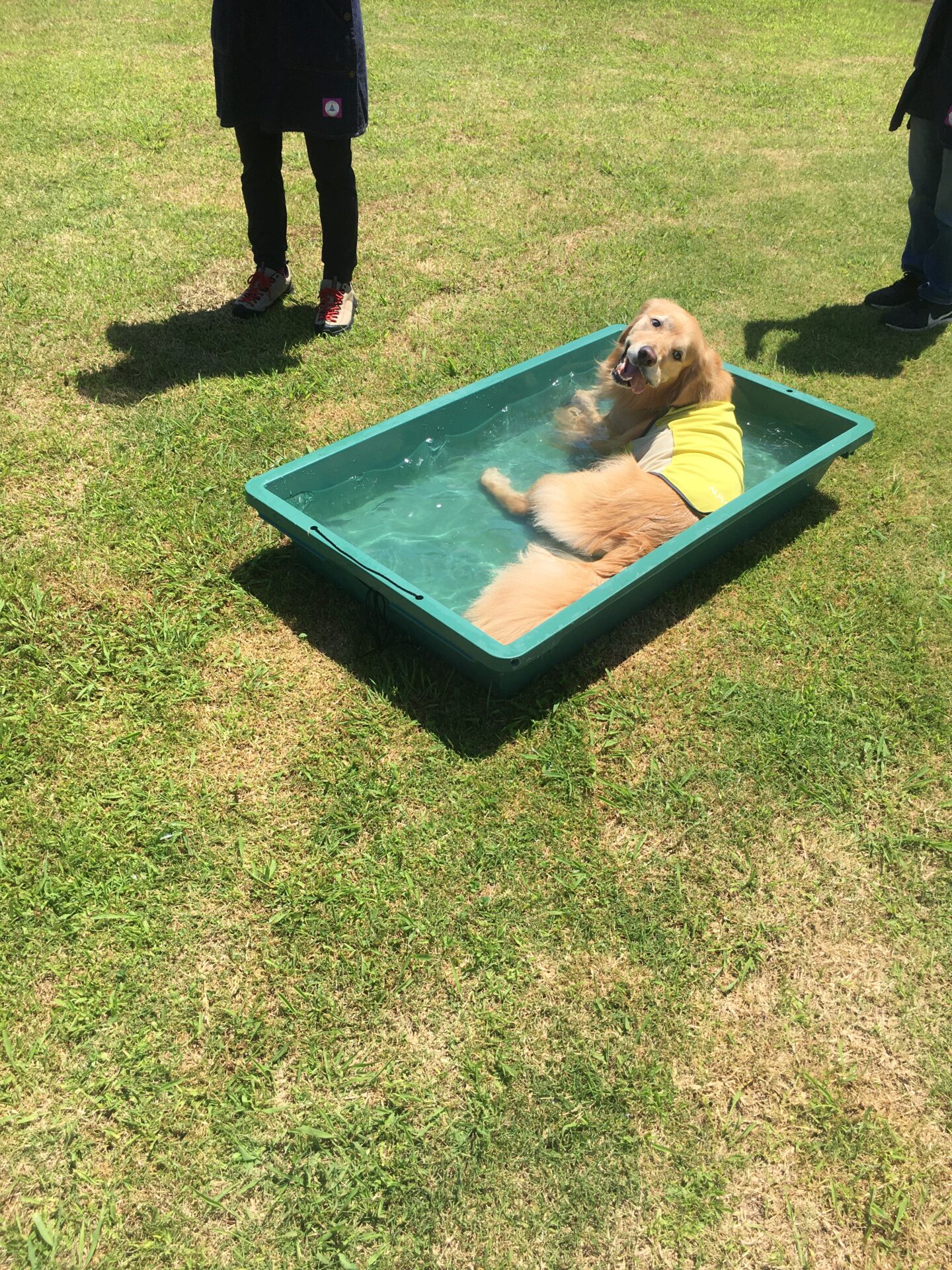 ファイル 8595-4.jpeg