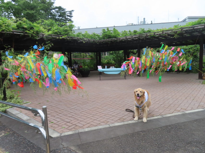 ファイル 8596-1.jpg