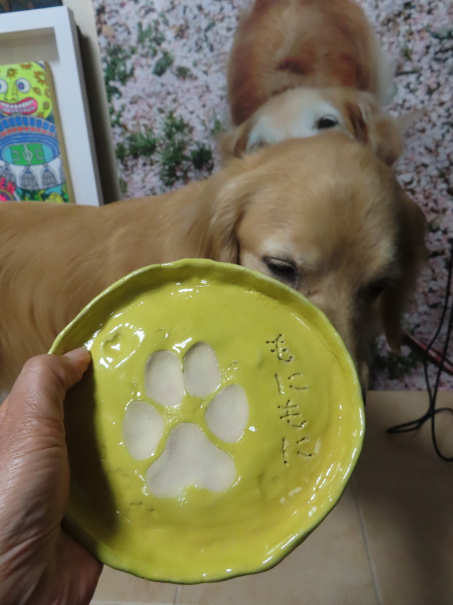 ファイル 8597-1.jpg