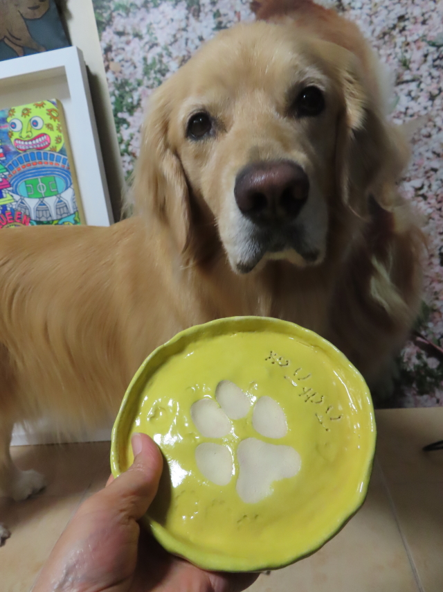 ファイル 8597-2.jpg