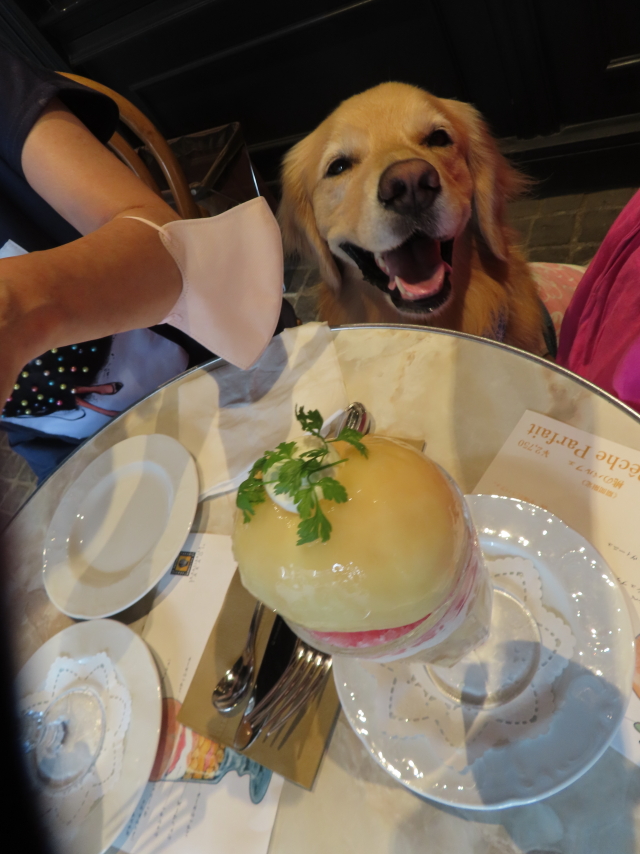 ファイル 8598-4.jpg