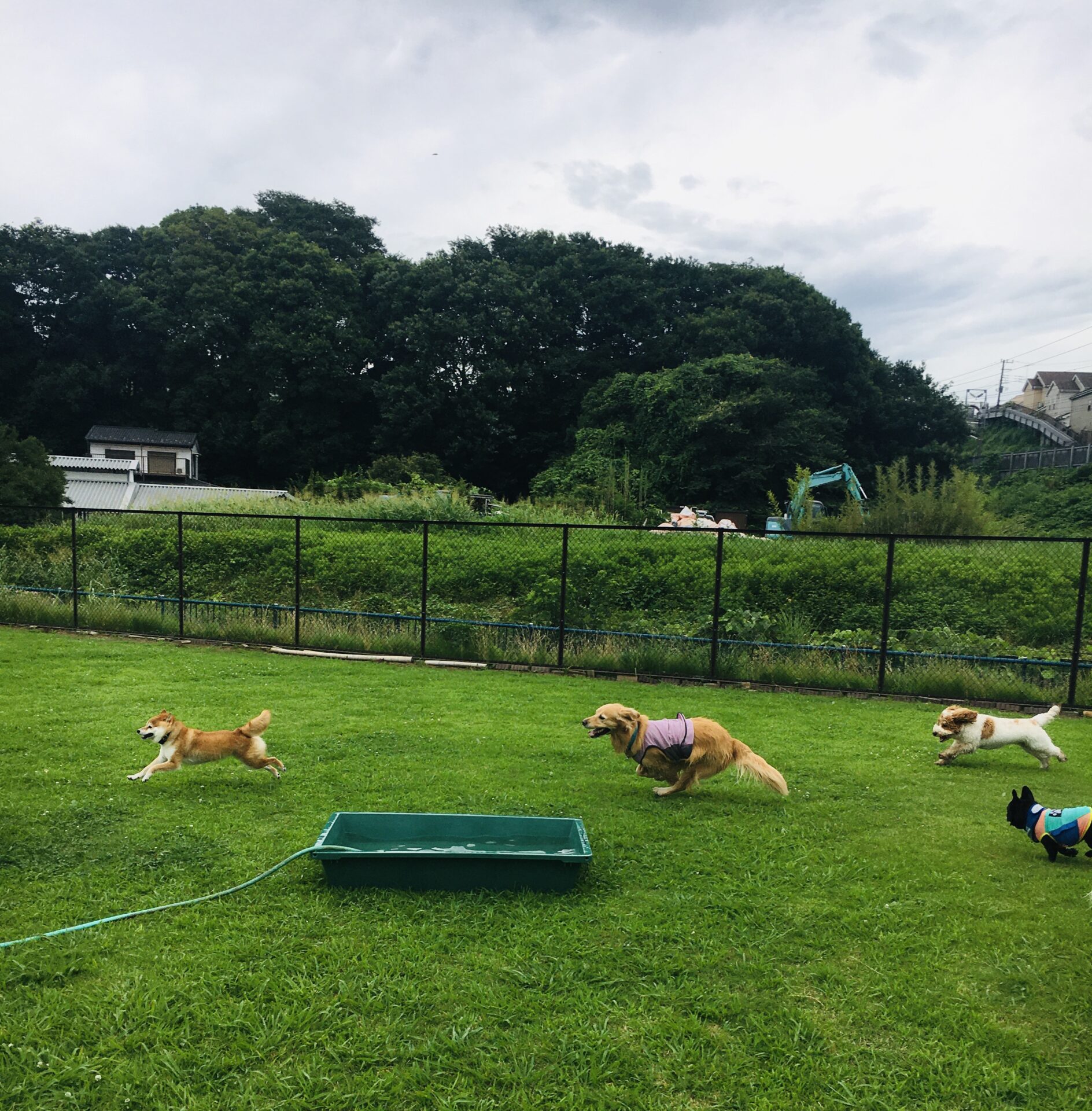 ファイル 8600-1.jpeg