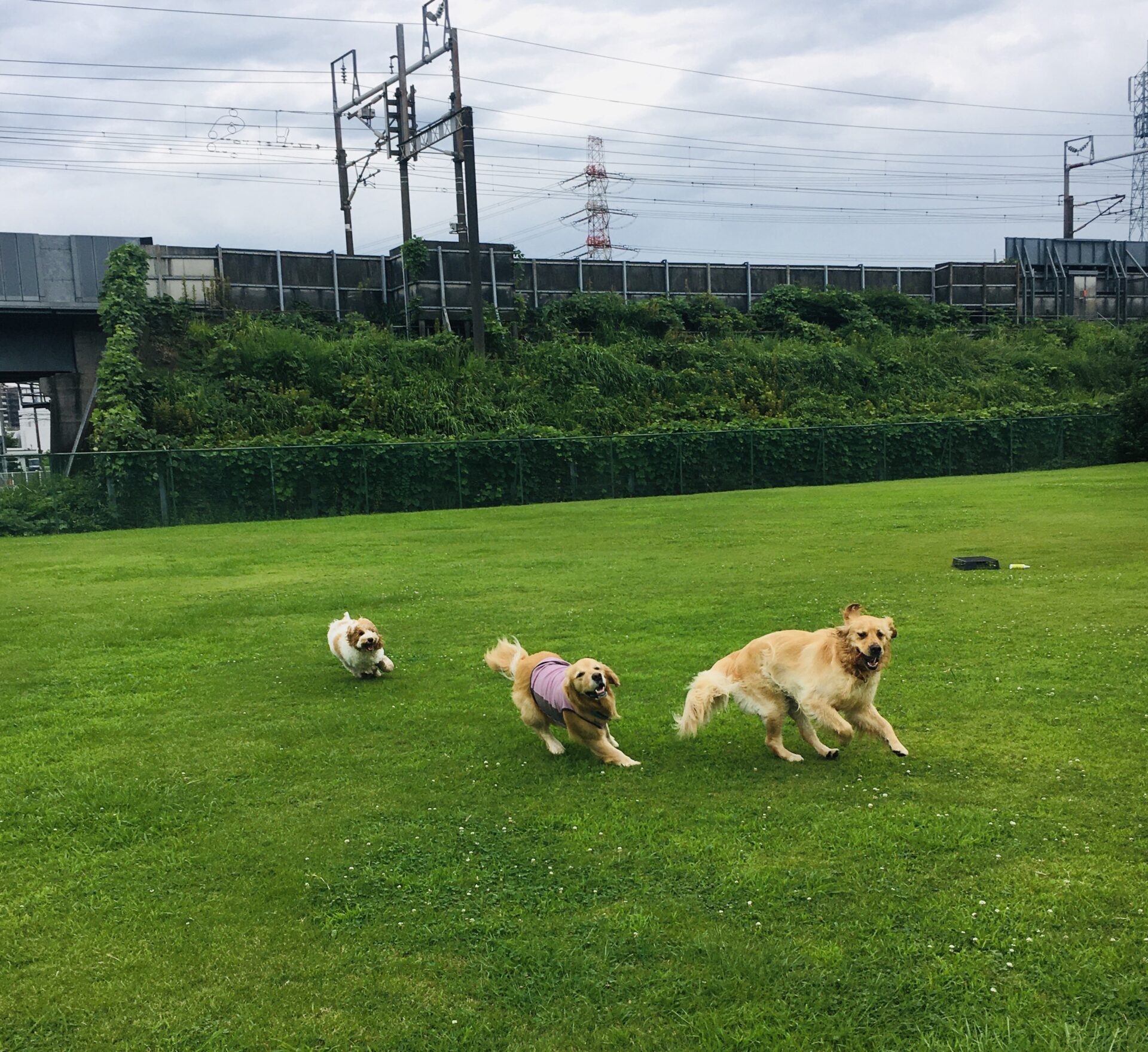 ファイル 8600-3.jpeg