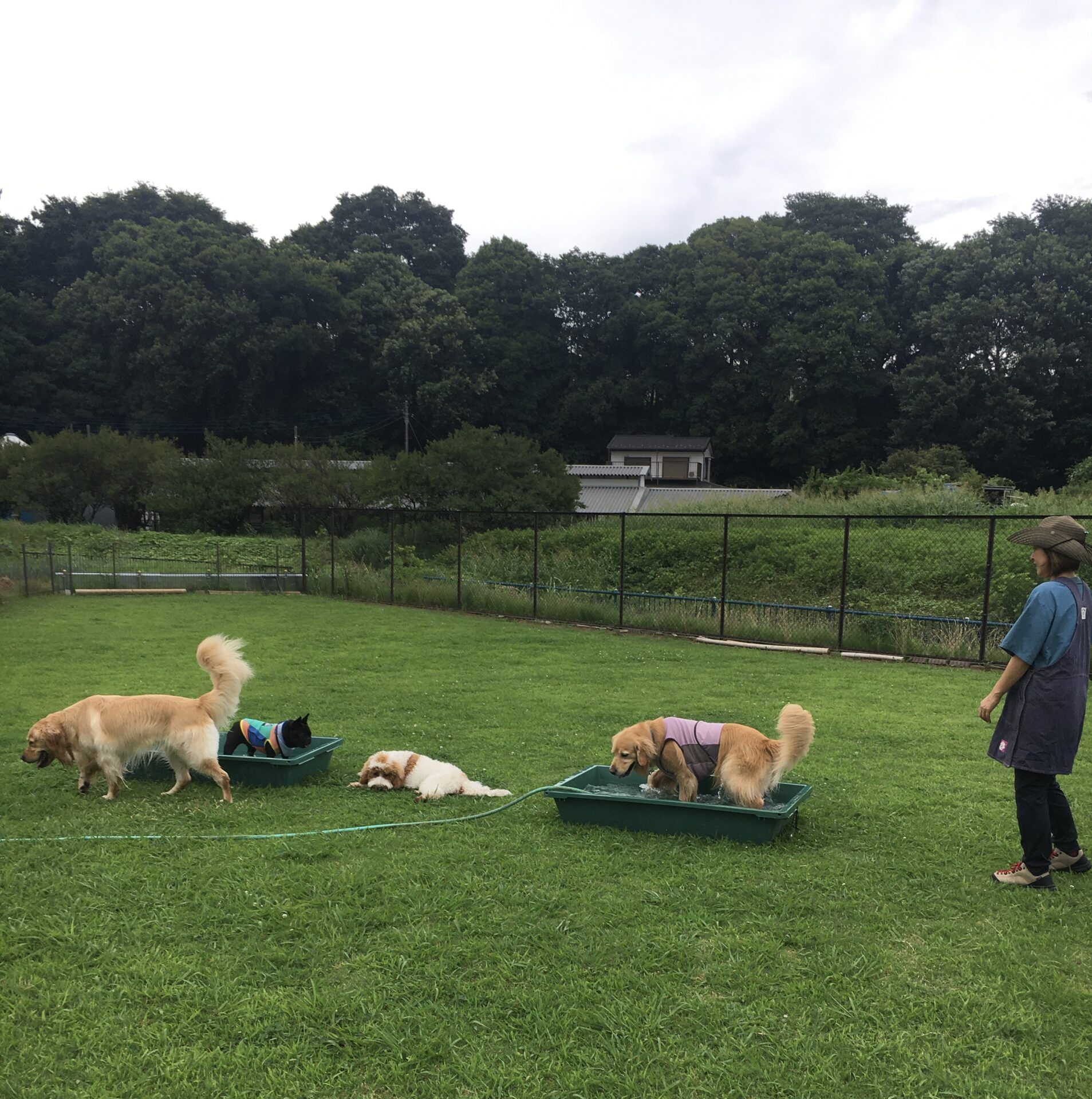 ファイル 8600-4.jpeg