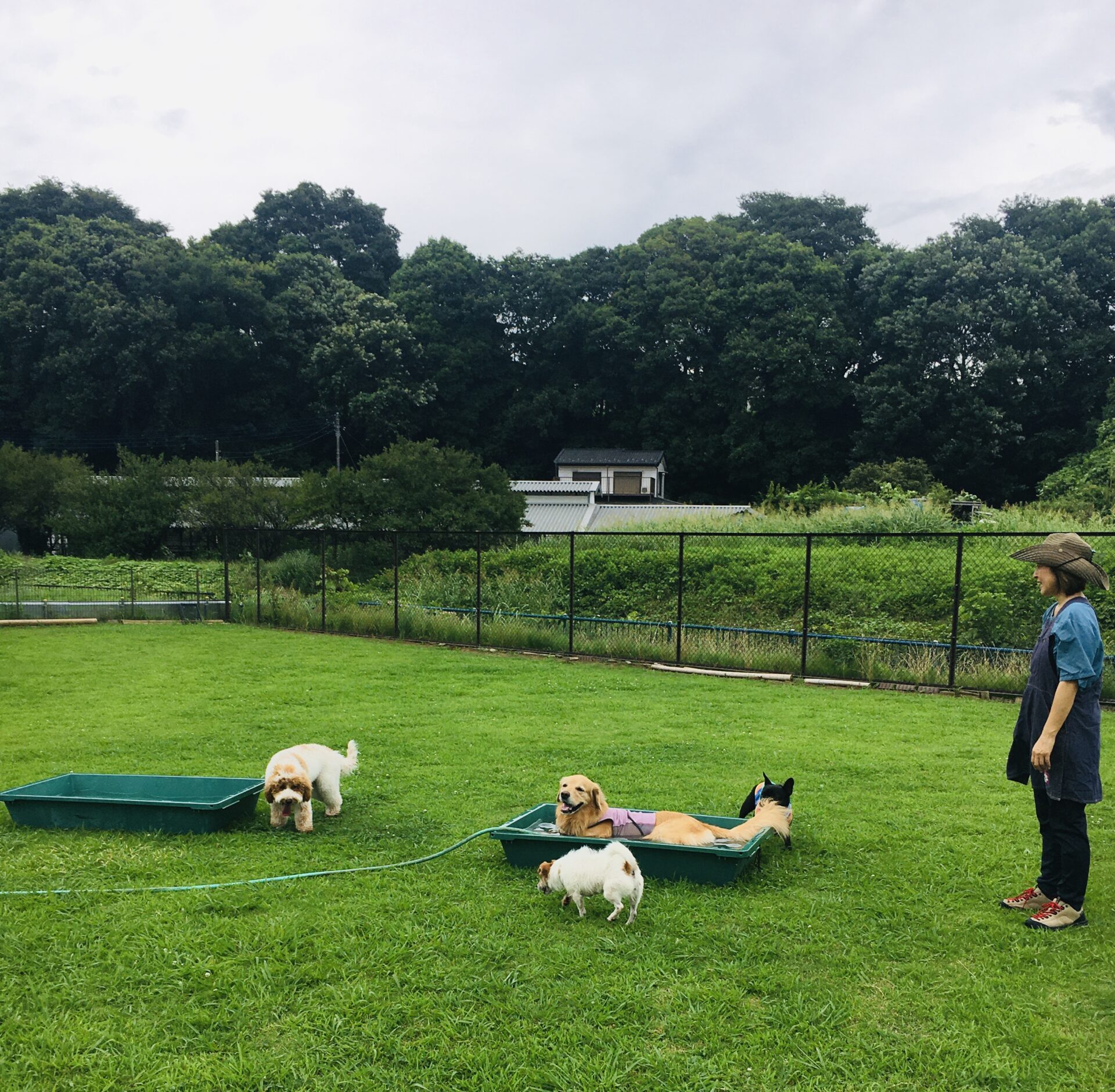 ファイル 8600-5.jpeg