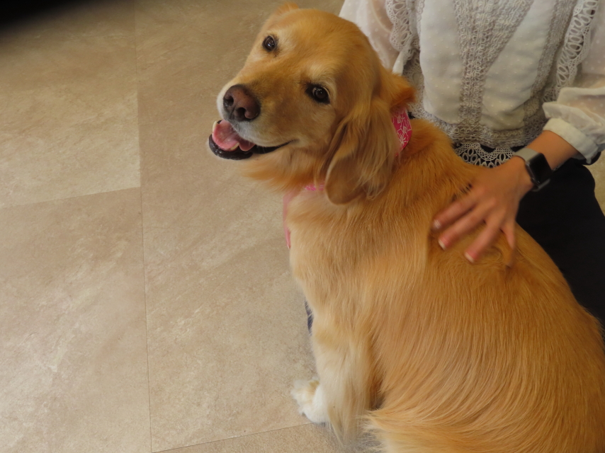 ファイル 8601-2.jpg