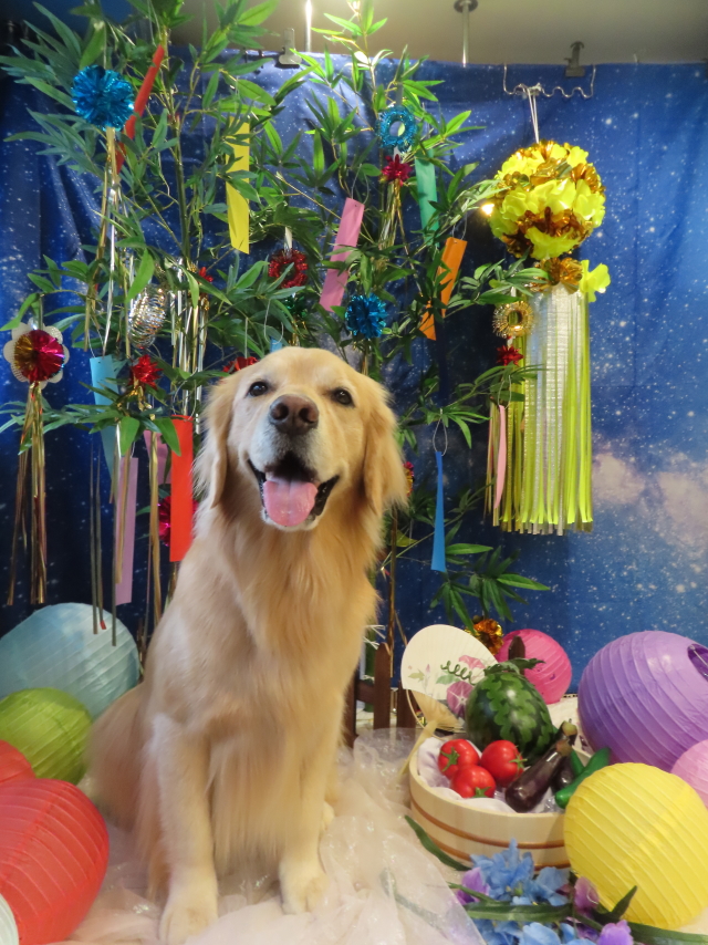 ファイル 8601-3.jpg