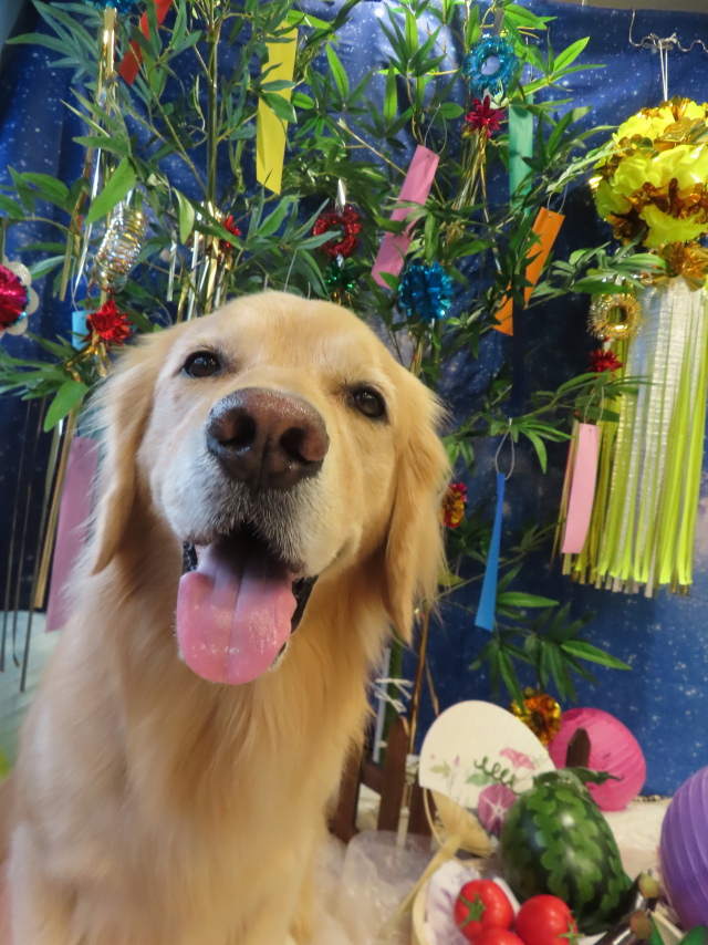 ファイル 8601-4.jpg