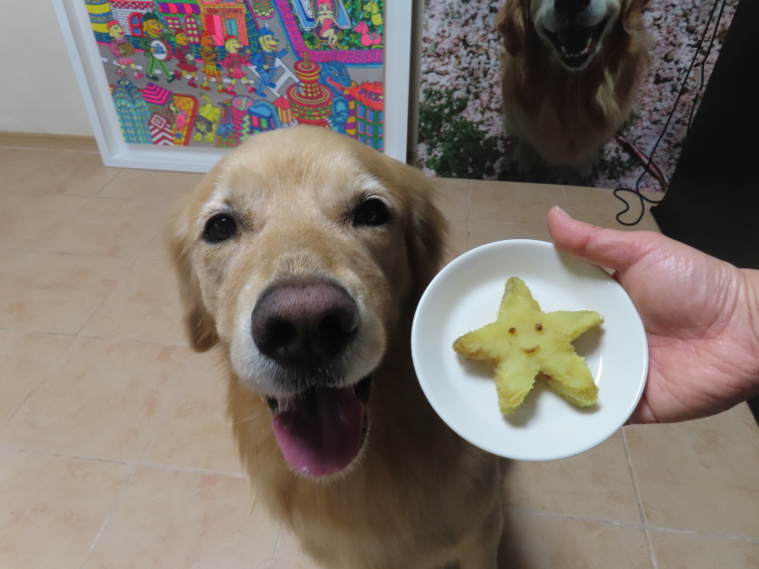 ファイル 8601-5.jpg