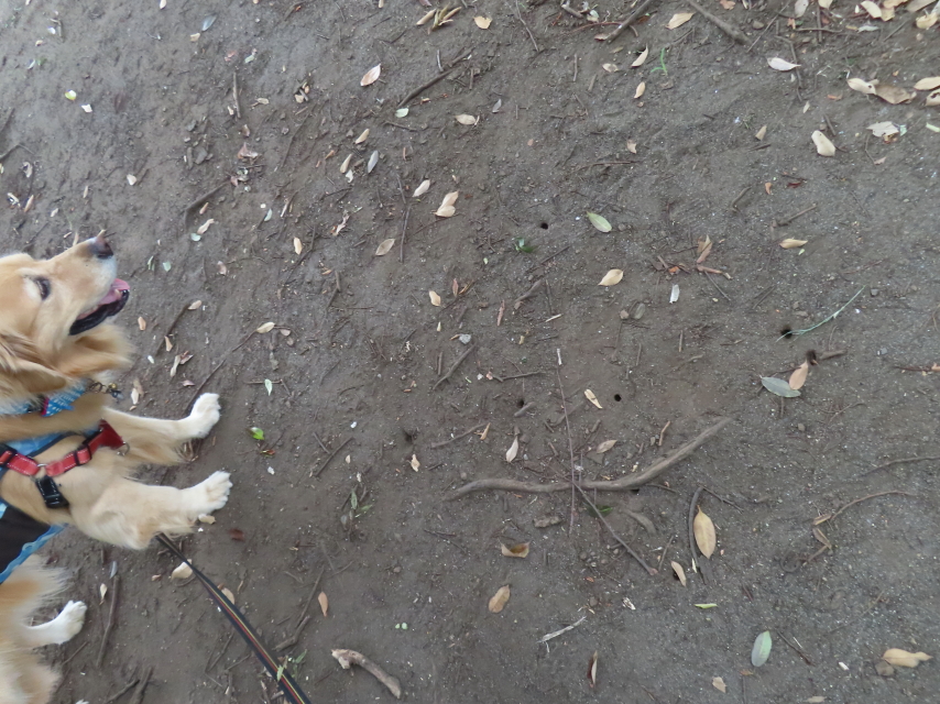 ファイル 8602-1.jpg