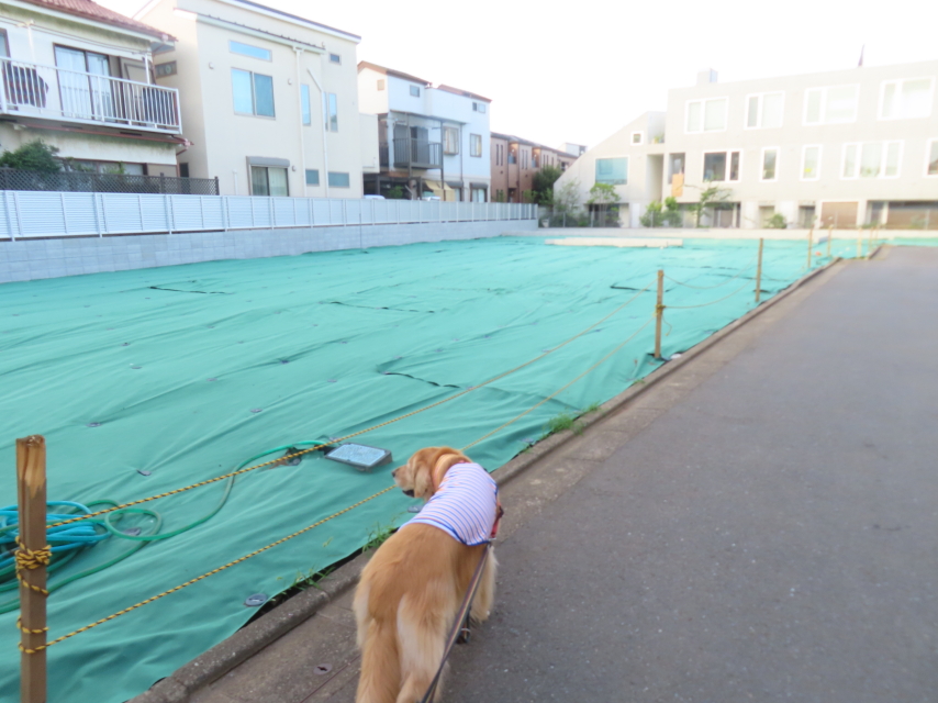 ファイル 8603-4.jpg