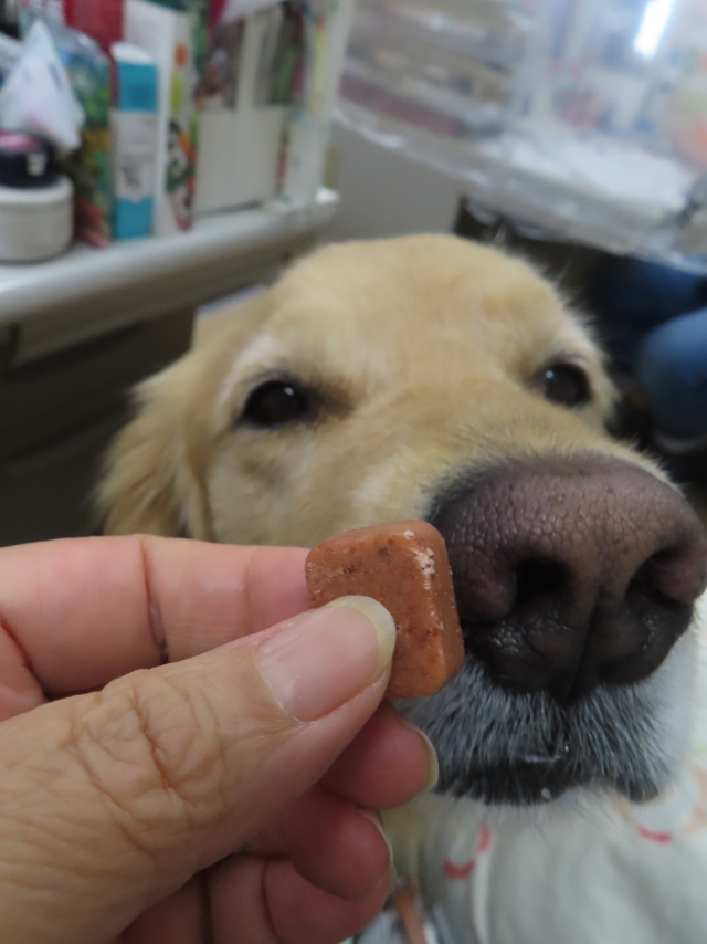 ファイル 8605-5.jpg