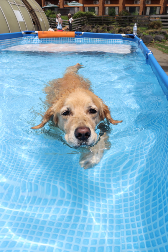 ファイル 8608-2.jpg