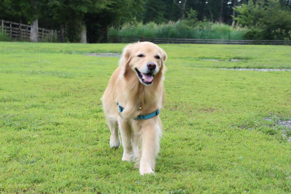 ファイル 8608-5.jpg