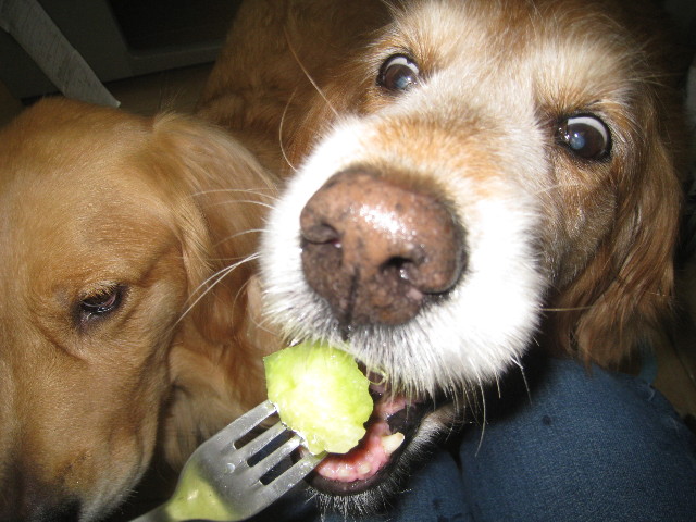 ファイル 861-2.jpg