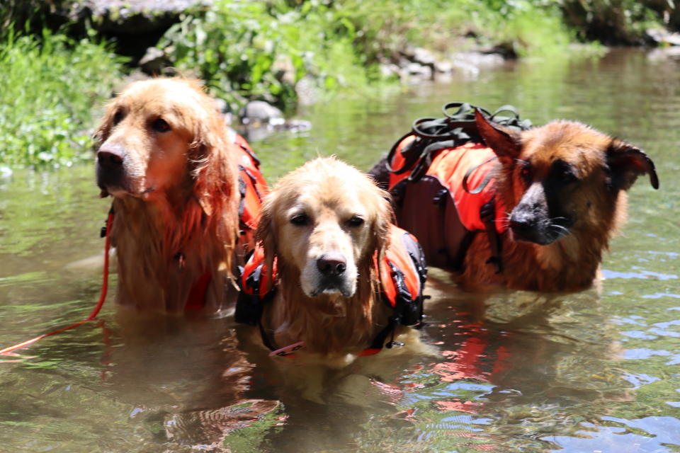 ファイル 8610-2.jpg