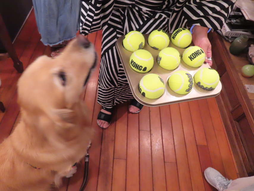 ファイル 8612-1.jpg