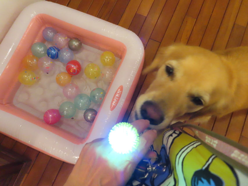 ファイル 8612-2.jpg