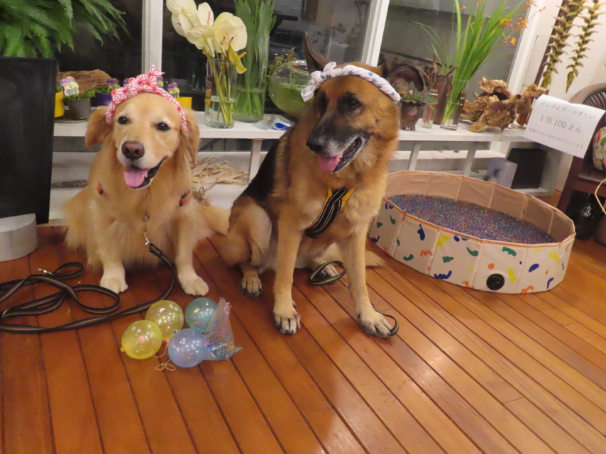 ファイル 8612-4.jpg