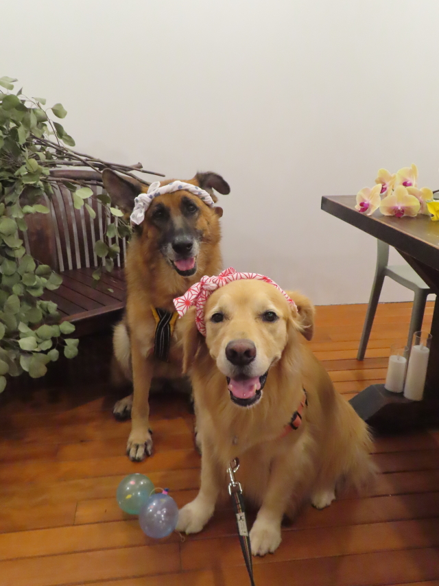 ファイル 8612-5.jpg