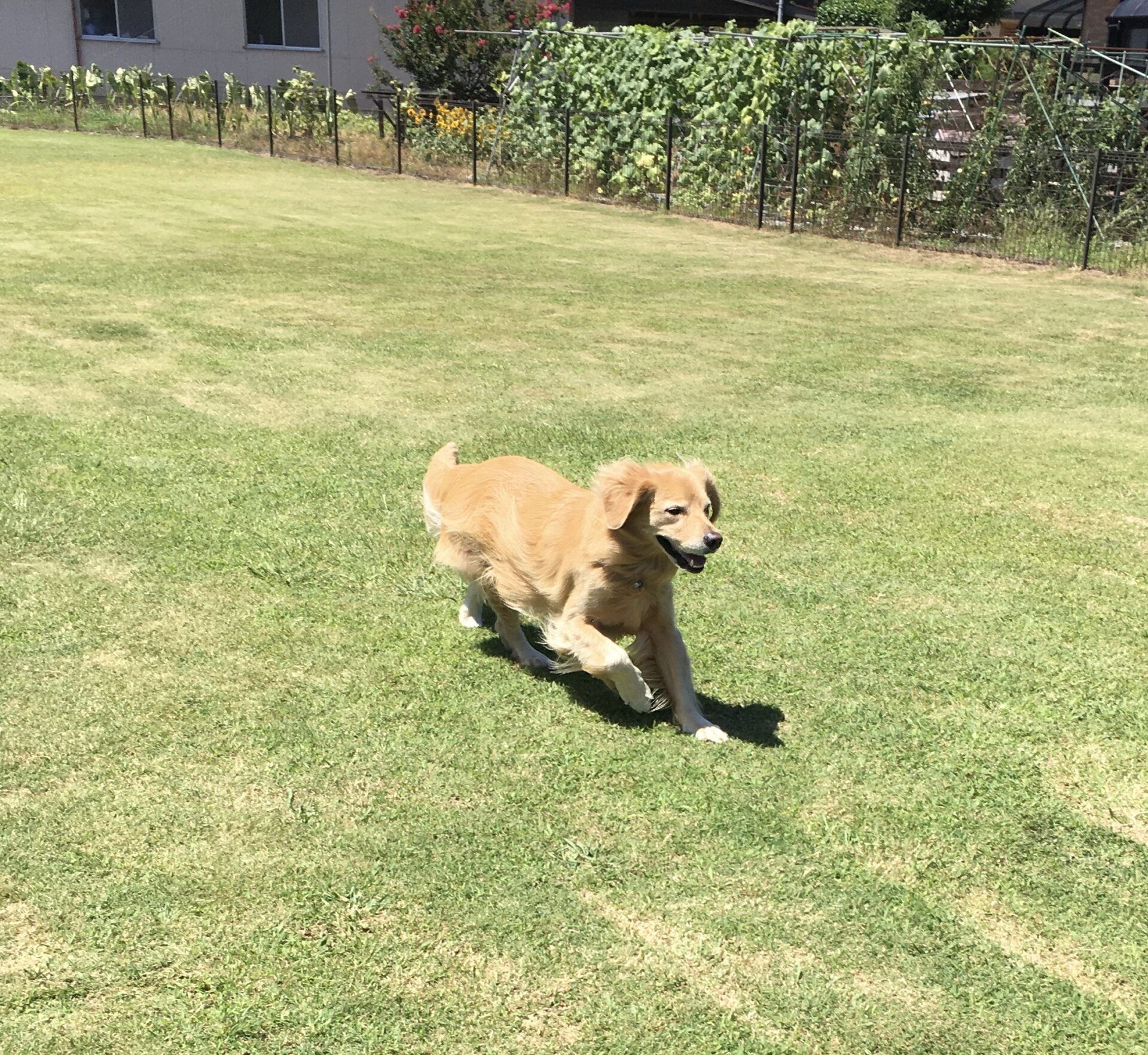 ファイル 8613-1.jpeg