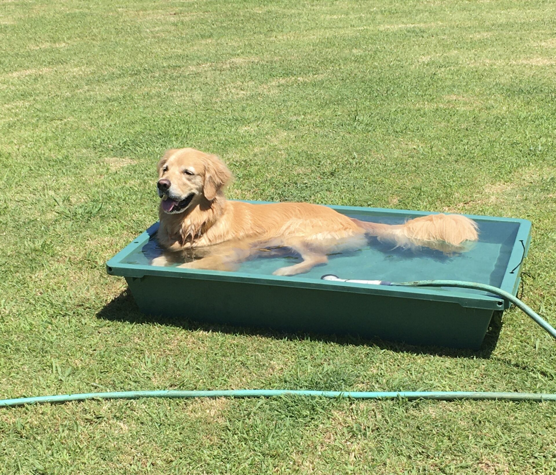 ファイル 8613-2.jpeg