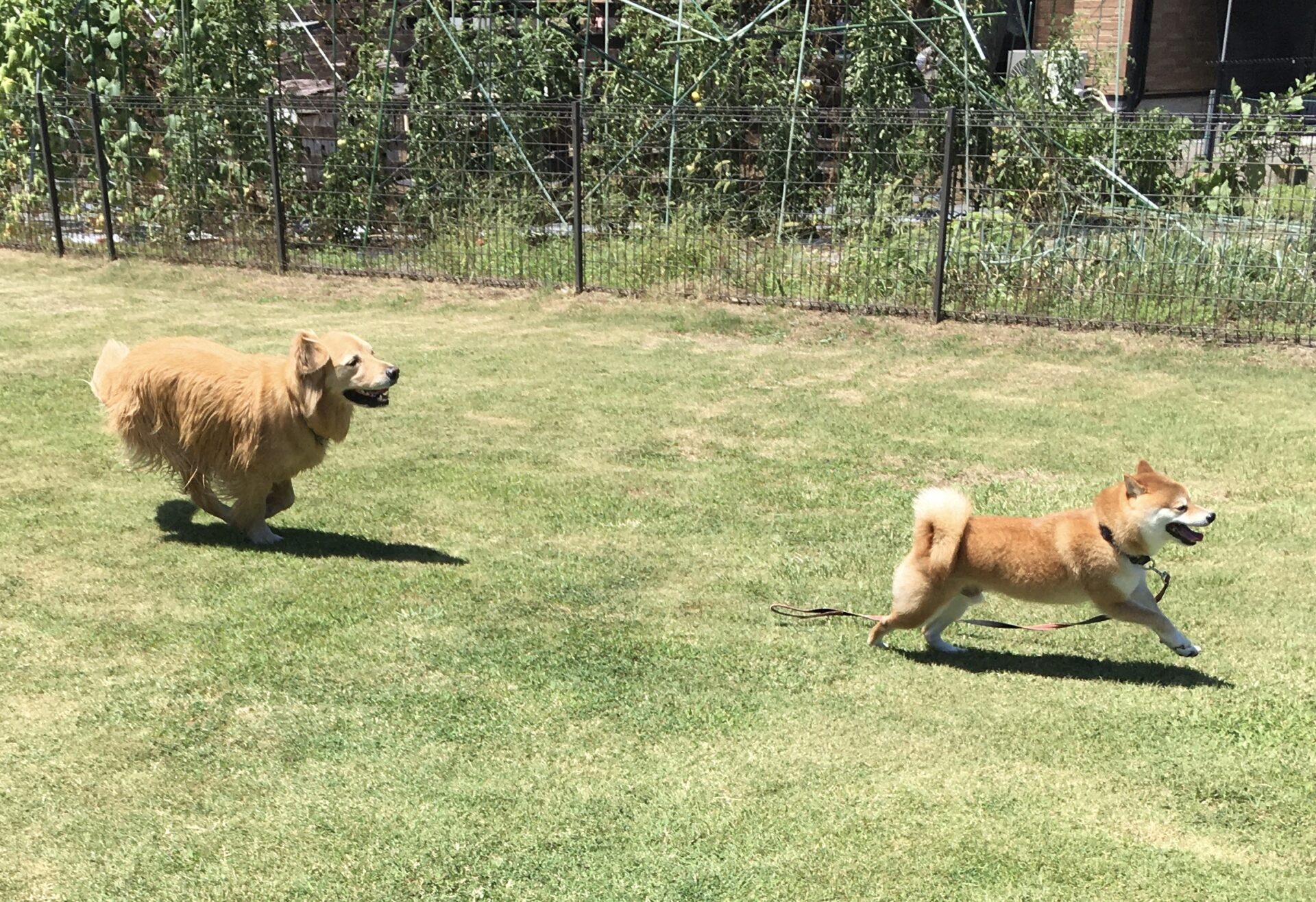 ファイル 8613-3.jpeg