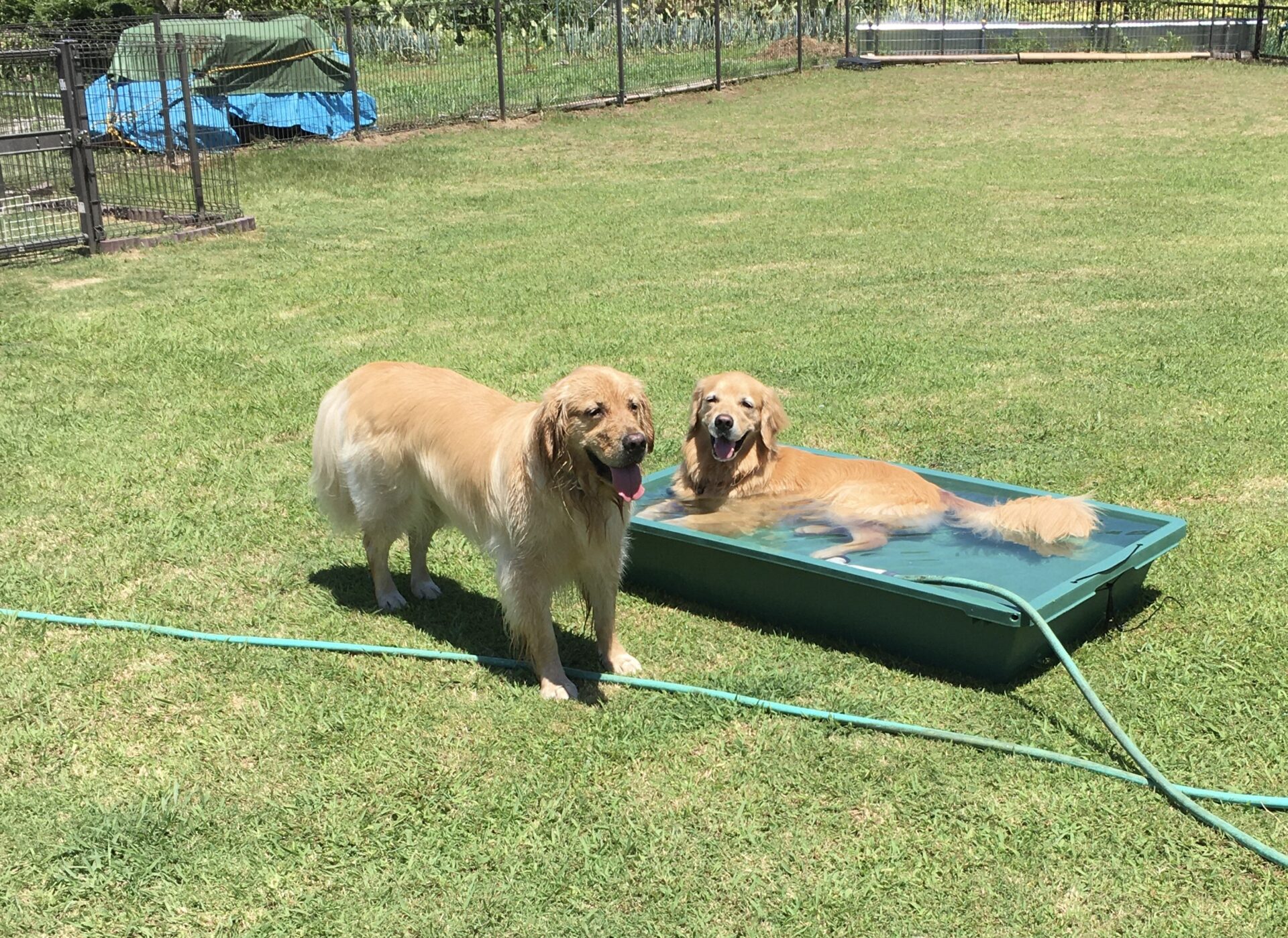 ファイル 8613-4.jpeg