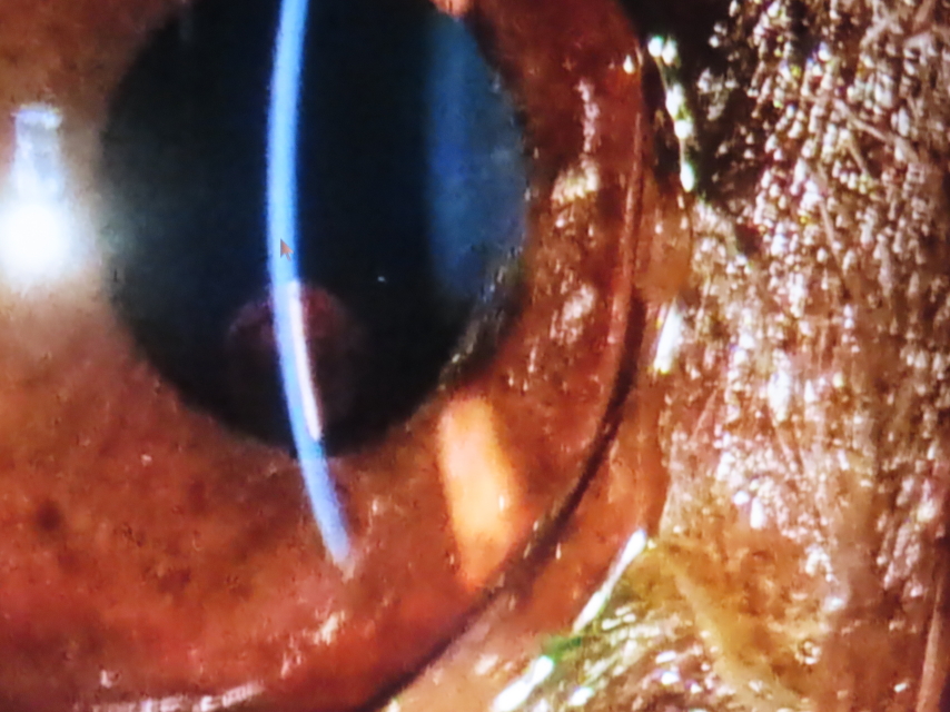 ファイル 8614-2.jpg