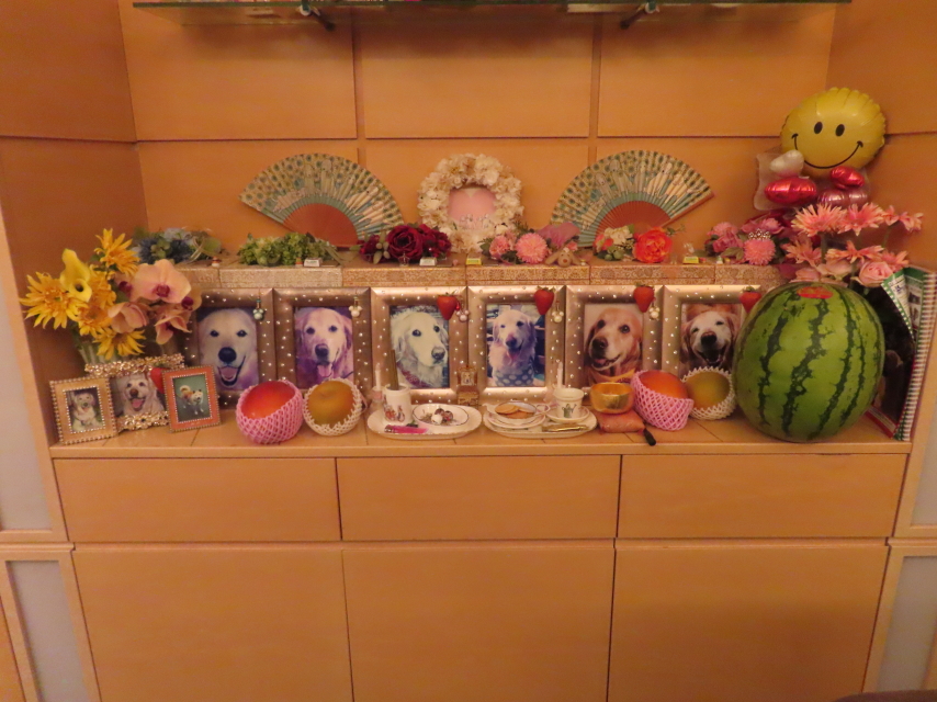 ファイル 8615-3.jpg