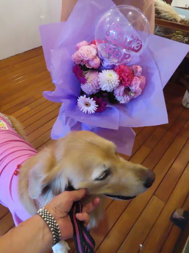 ファイル 8615-5.jpg