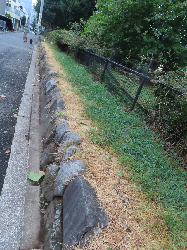 ファイル 8616-2.jpg