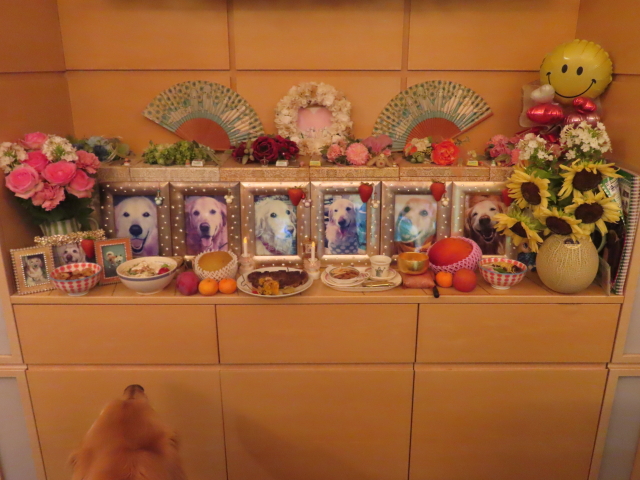 ファイル 8617-1.jpg