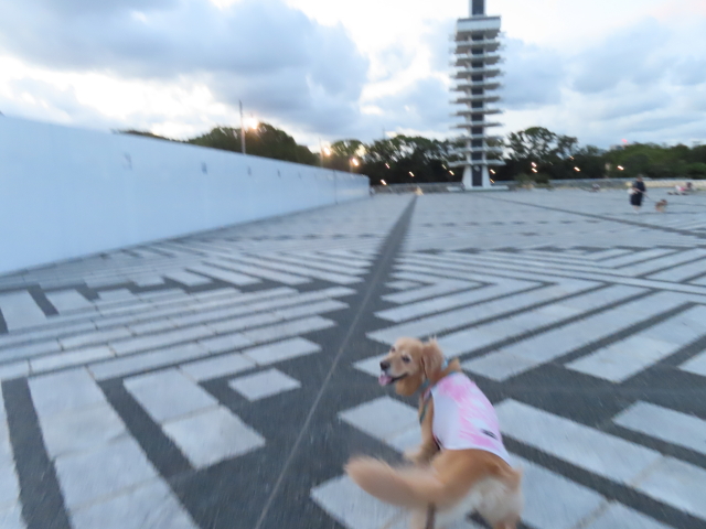 ファイル 8617-4.jpg