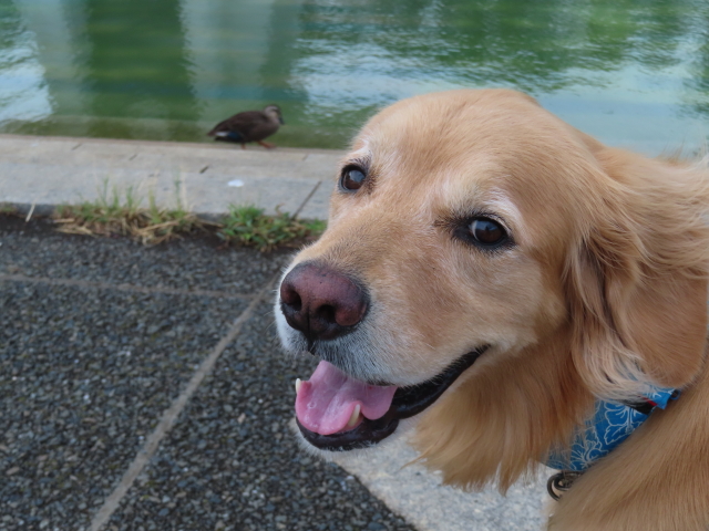 ファイル 8617-5.jpg