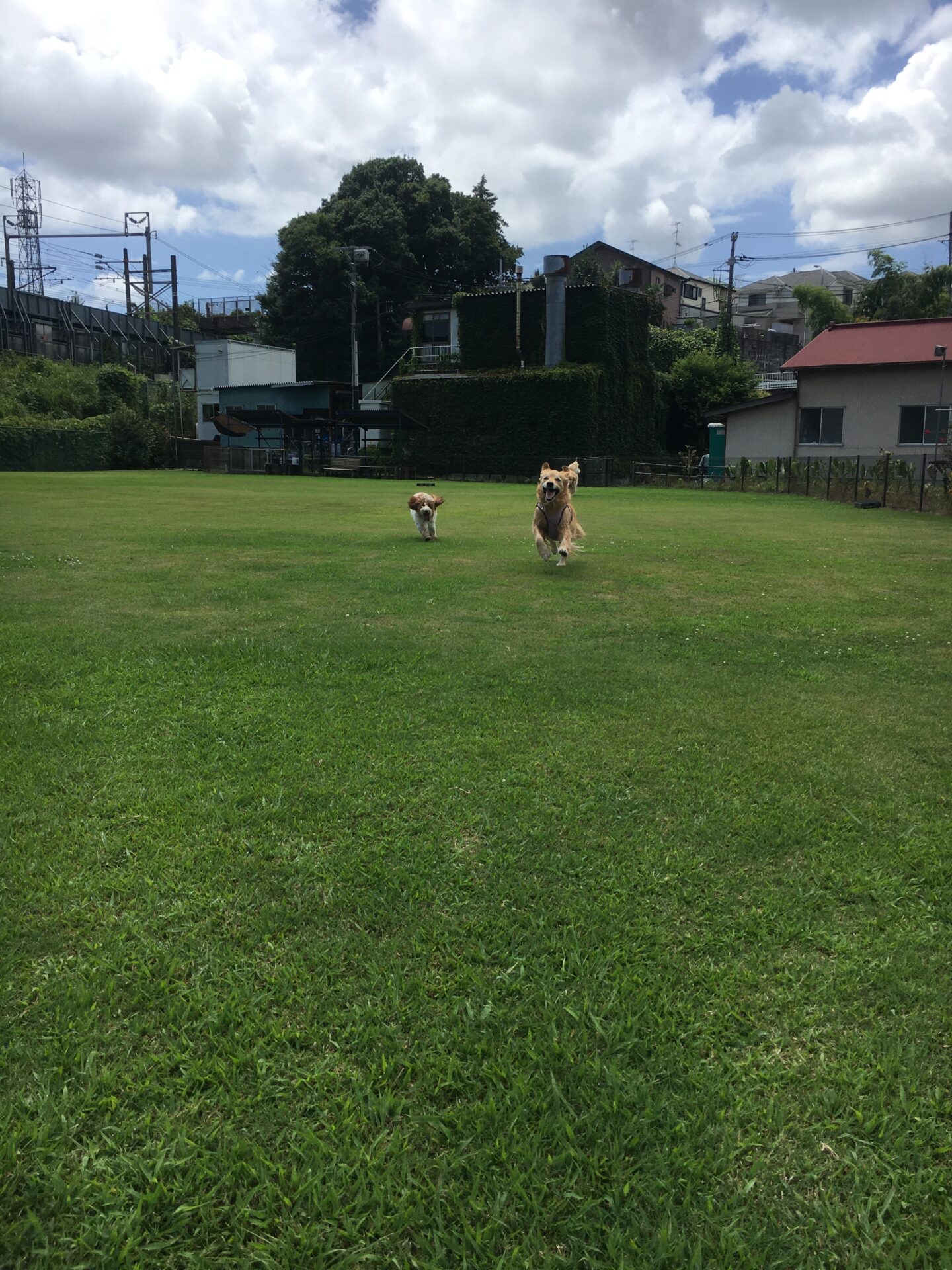 ファイル 8618-2.jpeg