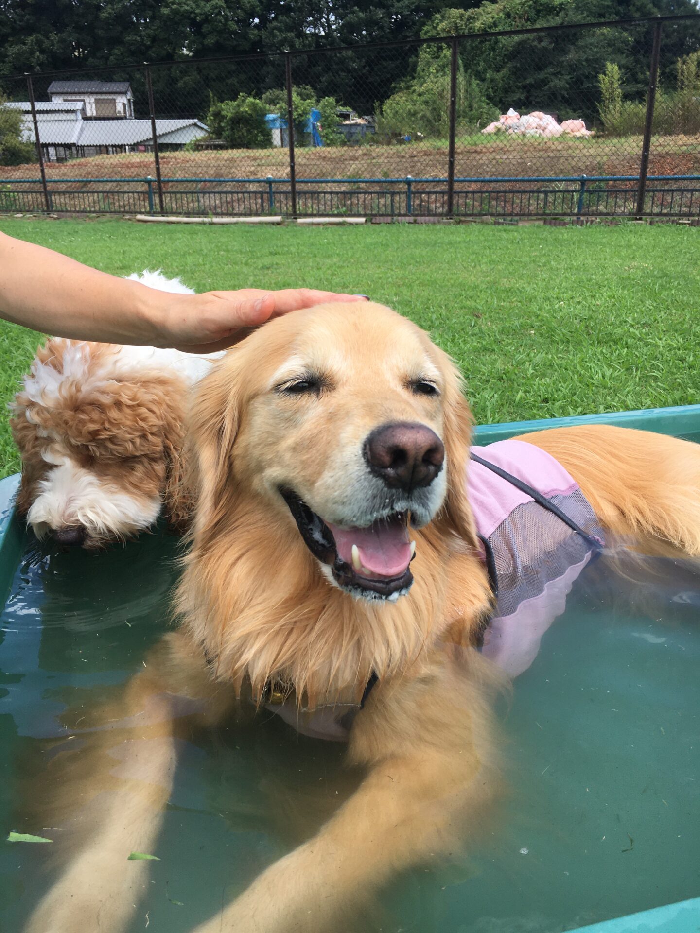 ファイル 8618-3.jpeg