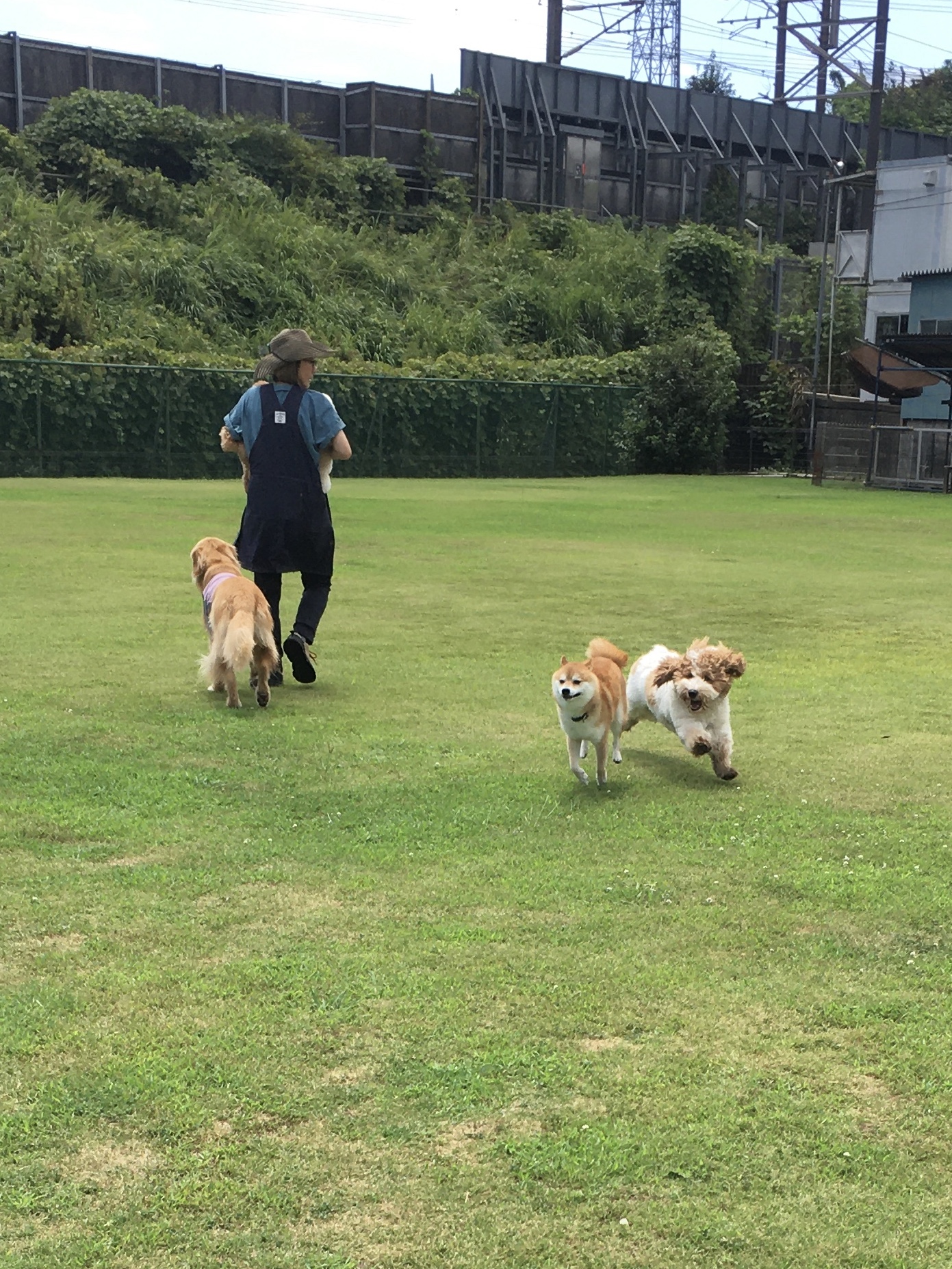 ファイル 8618-4.jpeg