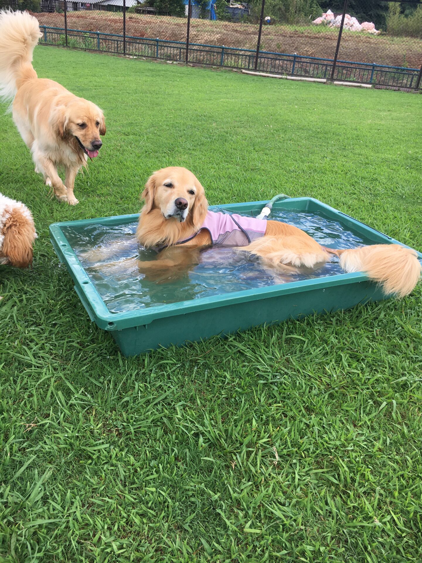 ファイル 8618-5.jpeg