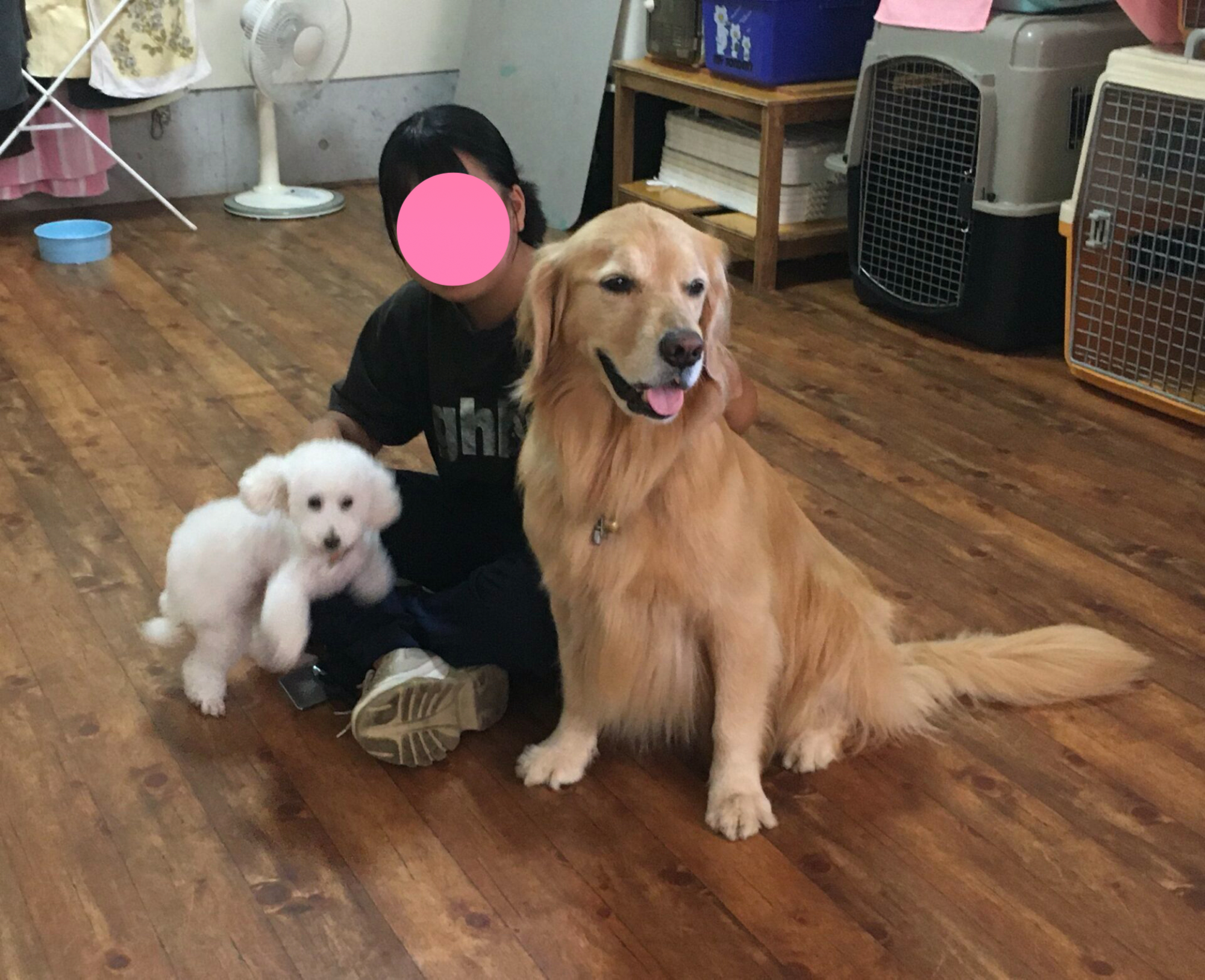 ファイル 8621-1.jpg